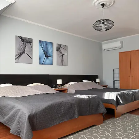 Forrasvoelgy Appartement *