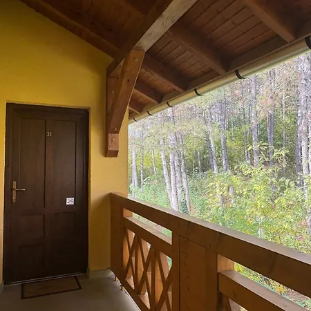 Forrasvoelgy Appartement *